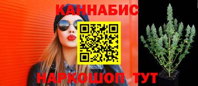 таблы Гай