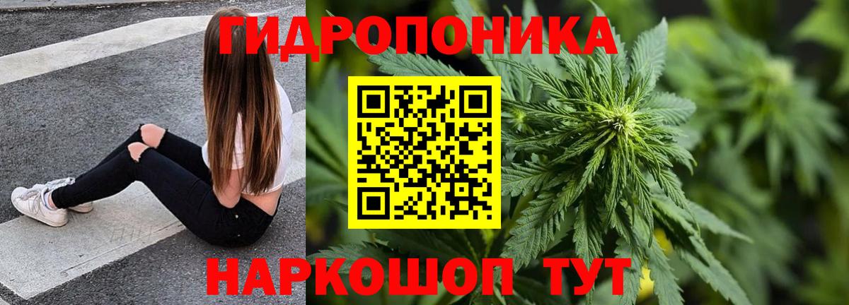 Шишки марихуана Amnesia  Канабис гибрид  Вход с VPN  Мурино 